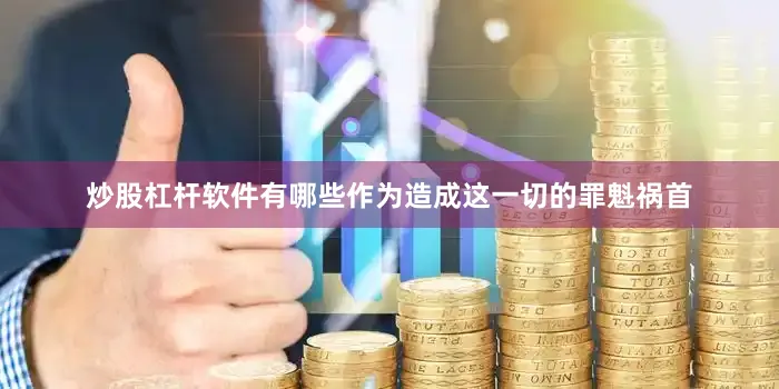 炒股杠杆软件有哪些作为造成这一切的罪魁祸首
